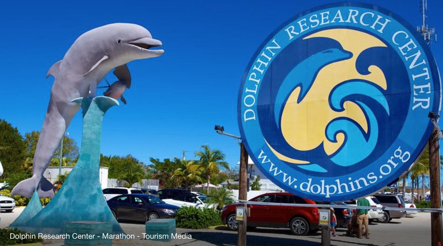 Dolphin Research Center in Marathon, Florida - A Marine Wonderland for the Whole Family